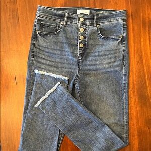 LOFT Dark Blue Skinny Jeans